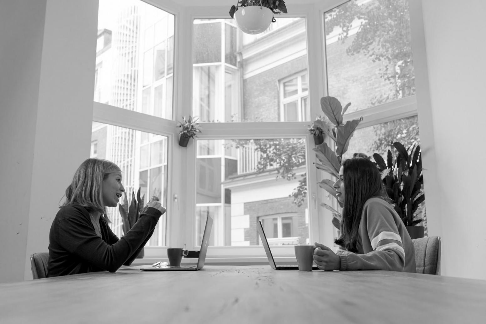 Team bei tavorysurae während der Wachstumsphase